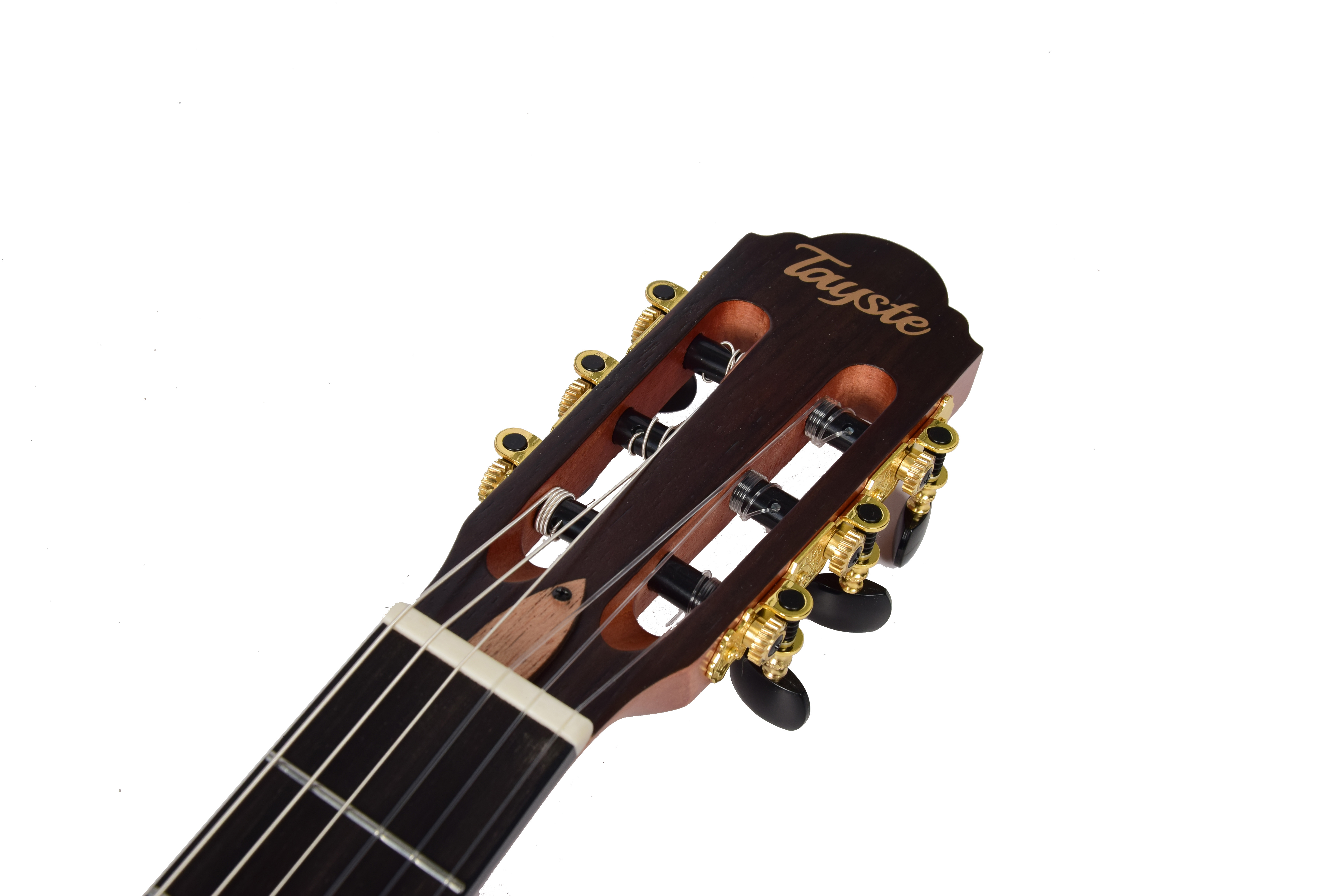 TS-CG100-electric classical guitar TS-CG100-electric classical guitar