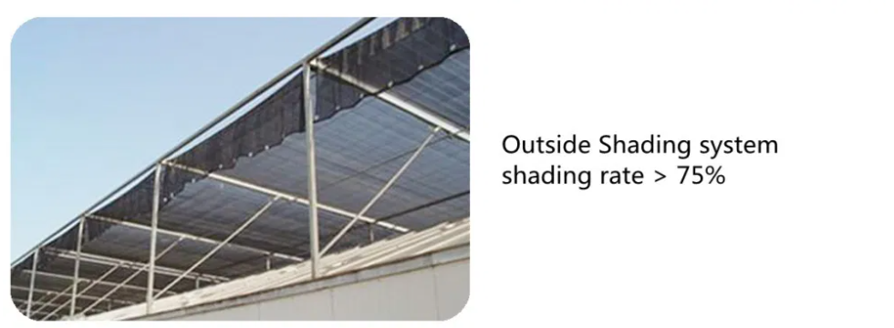 outside shading outside shading