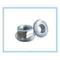 M3-M56 of Hex Nut with Hexagon Head Flange