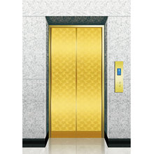 Elevator Titanium Etched SS Landing Door