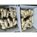 Air Dry Ginger For Europe market