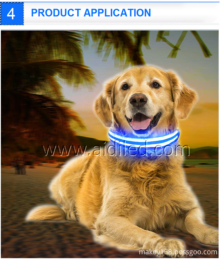 Flashing Pet Collar