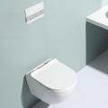 Wash basin sink toilet in bathroom wall hung