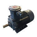 380V Three Phase Introduction Electric Motor for Reducer