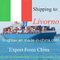 China Logistics Company Ocean Transportation Shipping Agent From China to Livorno