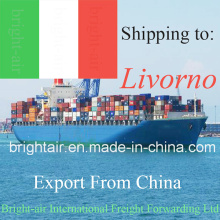 Китай логистическая компания Перевозка океана экспедитора из Китая в Ливорно