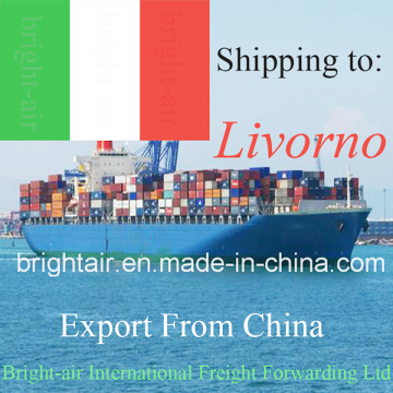 Agente de envío del transporte marítimo de China Logistics Company de China a Livorno