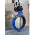 Monoflange Butterfly Valve with Al-Bronze Disc