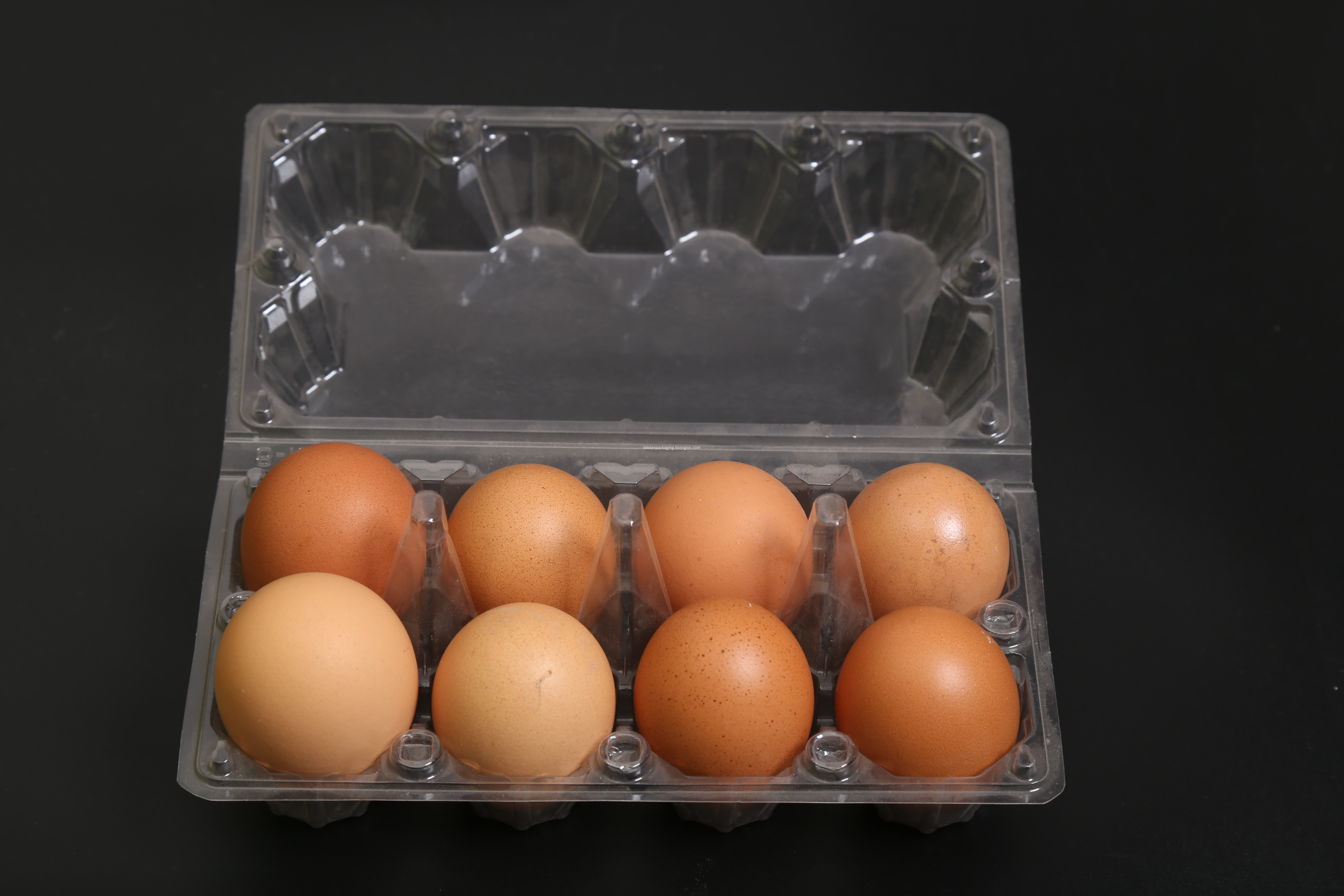 egg cartons trays