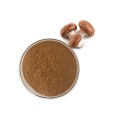 Health Supplement Natural shiitake mushroom extract