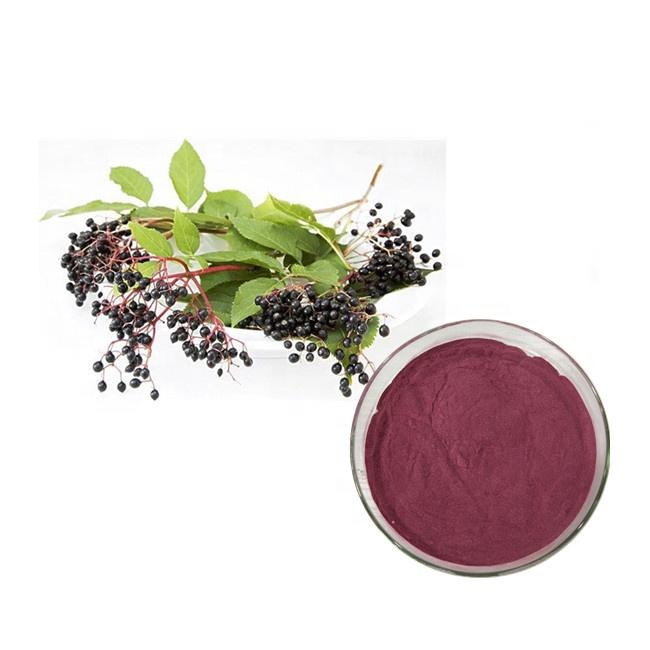 Black Elderberry Extract Powder