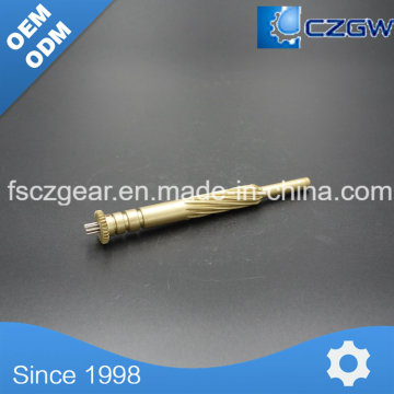 High Precision Customized Brass Transmission en laiton Small Spline pour diverses machines