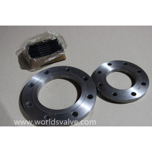 Carbon Steel Flange (P32)