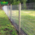 Cheap Galvanized Wire Mesh Farm Field Fence