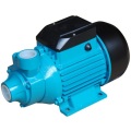 (QB60) High Quality Cast Iron Household Peripheral Water Pump