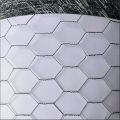 Galvanizada malha de arame de rede de arame hexagonal