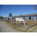 Galvanized Movable Horse Fence for Farm Animal