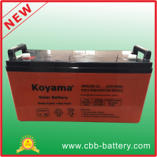 Battery Solar off Grid System for House Use, Solar Panel and Solar Battery Nps120-12