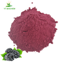 Good taste fresh fruit organic mulberry juice powder