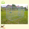 Cheap Galavnized Chain Link Dog Kennels