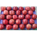 Red Delicious Huaniu Apple with Best Quality