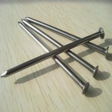 common nails/common iron nails