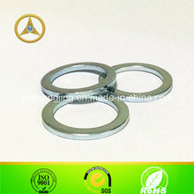 Non-Standard Steel Washer