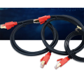 Cable Ethernet PS4 Cat8 Cable LAN de alta velocidad