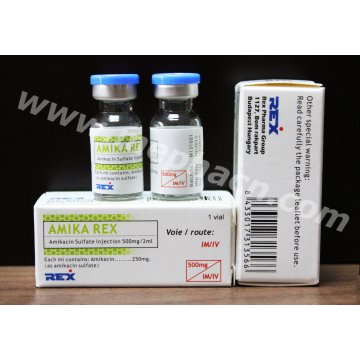 Amikacin Injection 100mg / 2ml, 500mg / 2ml &amp; Actd / Ctd Dossiê de Amikacin