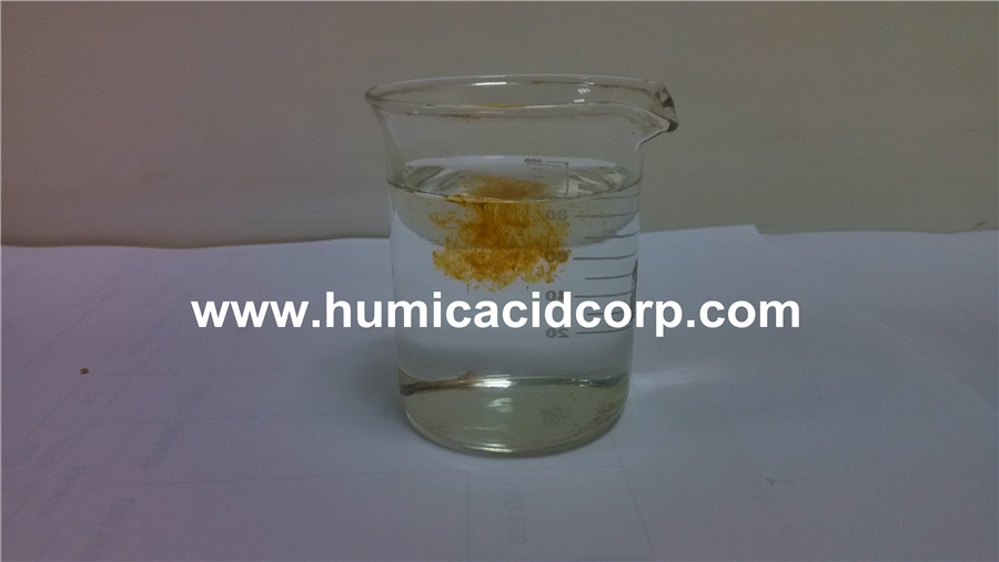 The Differnece Between Mineral Fulvic Acid And Bio Fulvic Acid