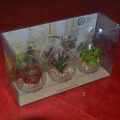 Crafts Clear Folding Box para los productos de la exhibición o las plantas puestas