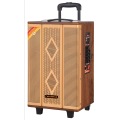 Trolley speaker DSP wooden case 15inch big woofer