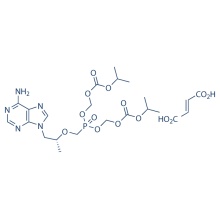 Tenofovirdisoproxilfumarat 202138-50-9