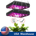 Best LED Grow Light 600W for Indoor Herbs