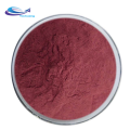 High Quality Pure Natural Tomato Extract Lycopene Powder