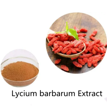 Comprar en línea materias primas Polvo de extracto de Lycium barbarum