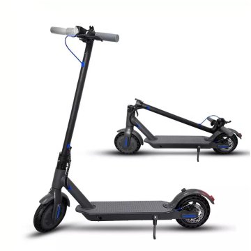 Kick 350W Motor 10 ah Battery Electric Scooter