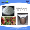 GA3 gibberellic acid powder growth growth régulator