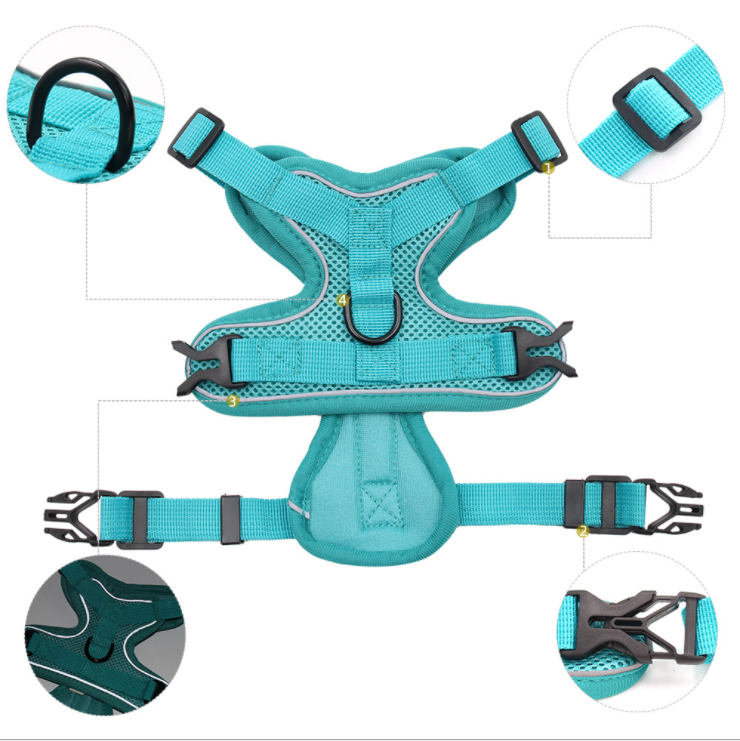 Female Dog Harness And Leash Set Female Dog Harness And Leash Set