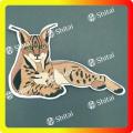 Tiger heat seal patches OEM cheaper