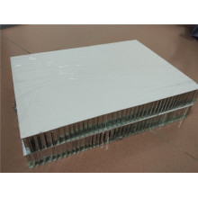 Paneles de panal de aluminio de 50 mm