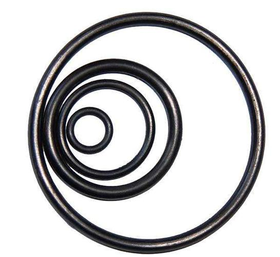 Pump O-Ring .png Pump O-Ring .png