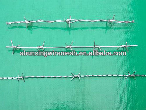 barbed%20wire%201[1]