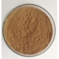 Health Supplement Natural shiitake mushroom extract