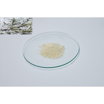 Professional soy lecithin powder