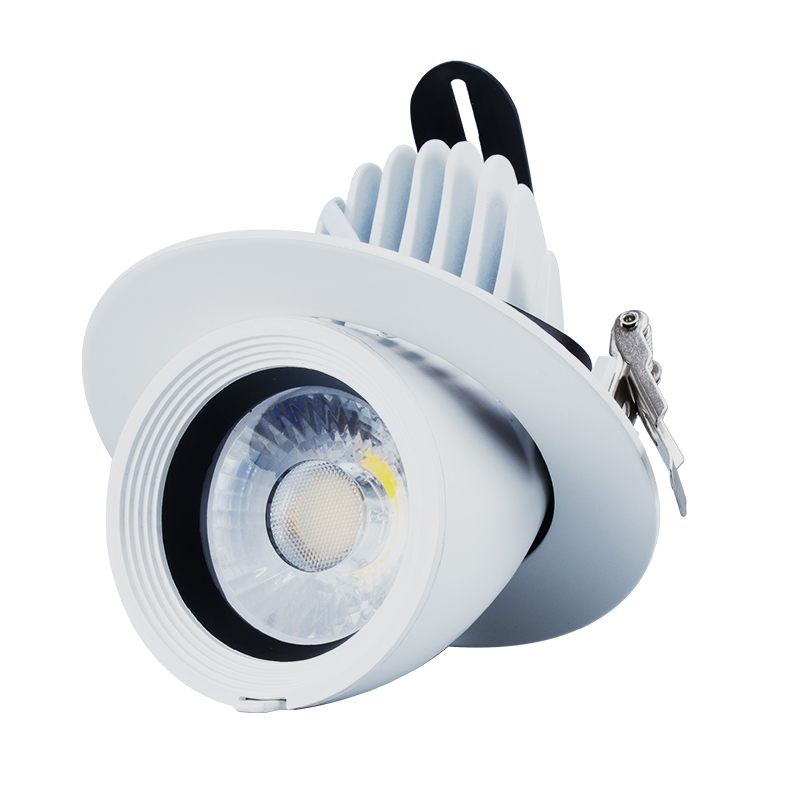 Round Cob Downlight