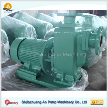 Jet Self Priming Electric Water Pump