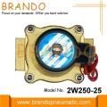 AC 220V 2W250-25 Water Solenoid Valve