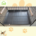 Luxury parrot cage with plastic tray