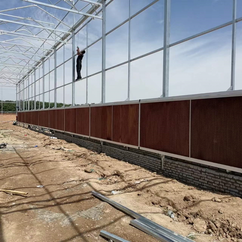 Venlo PC Greenhouse Venlo PC Greenhouse